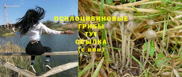 кокс Арсеньев