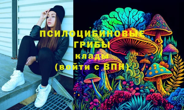 гидра Балабаново