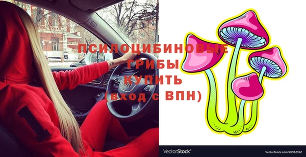 первитин Балахна