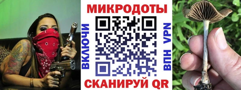 МЕГА   Зима  Галлюциногенные грибы Psilocybine cubensis  продажа наркотиков 
