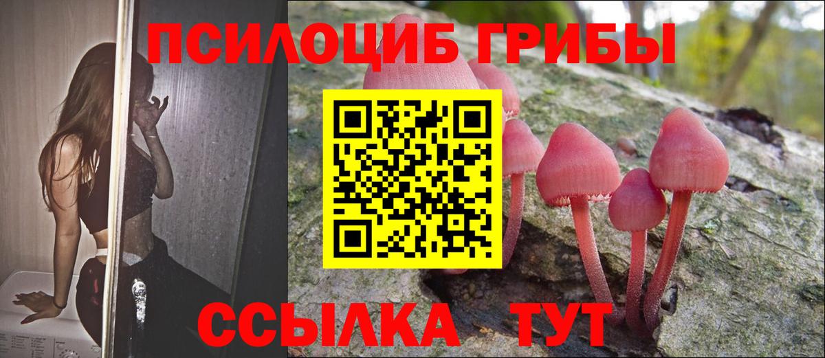 Псилоцибиновые грибы мухоморы Зима