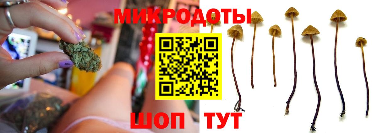 Зима  Галлюциногенные грибы Magic Shrooms  Вход с VPN 